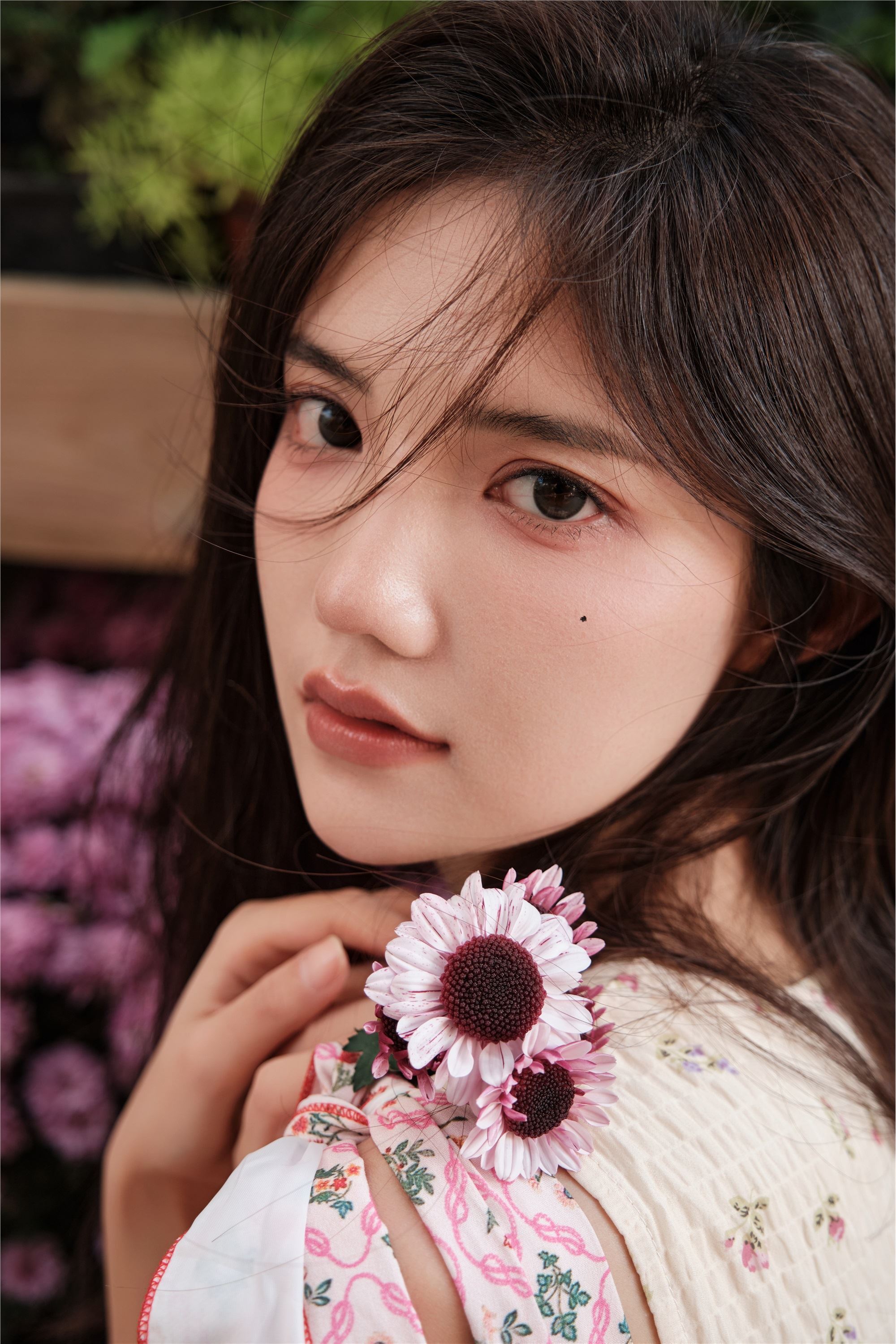 YITUYU艺图语 2025.01.12 花期正好 多米Domy